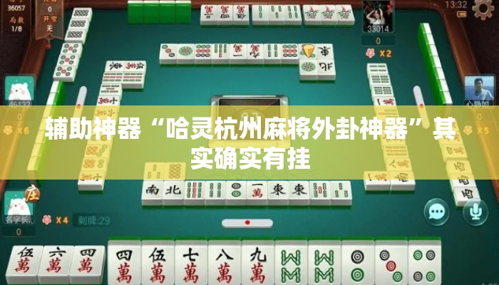 辅助神器“哈灵杭州麻将外卦神器”其实确实有挂