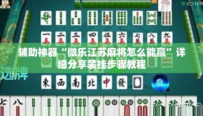 辅助神器“微乐江苏麻将怎么能赢	”详细分享装挂步骤教程