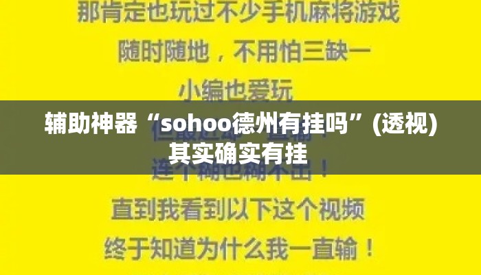 辅助神器“sohoo德州有挂吗”(透视)其实确实有挂 