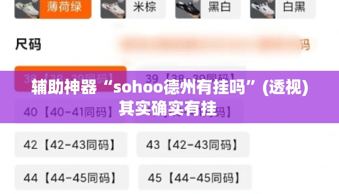 辅助神器“sohoo德州有挂吗”(透视)其实确实有挂 