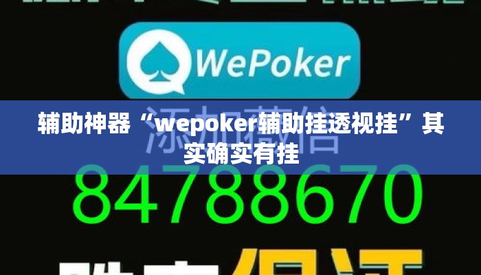 辅助神器“wepoker辅助挂透视挂	”其实确实有挂