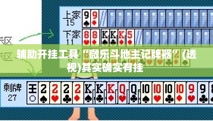 辅助开挂工具“微乐斗地主记牌器	”(透视)其实确实有挂 