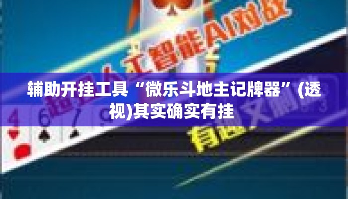 辅助开挂工具“微乐斗地主记牌器	”(透视)其实确实有挂 