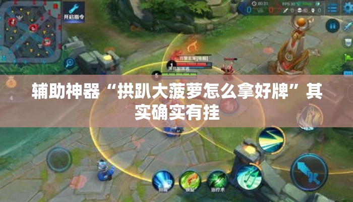 辅助神器“拱趴大菠萝怎么拿好牌”其实确实有挂