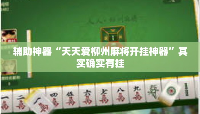 辅助神器“天天爱柳州麻将开挂神器	”其实确实有挂