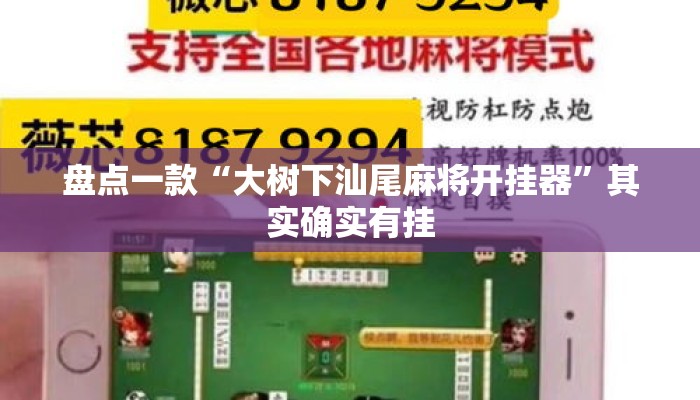 盘点一款“大树下汕尾麻将开挂器”其实确实有挂