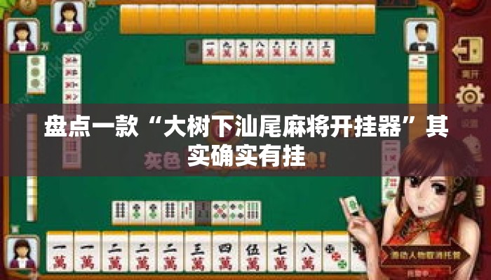 盘点一款“大树下汕尾麻将开挂器”其实确实有挂