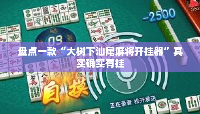 盘点一款“大树下汕尾麻将开挂器	”其实确实有挂