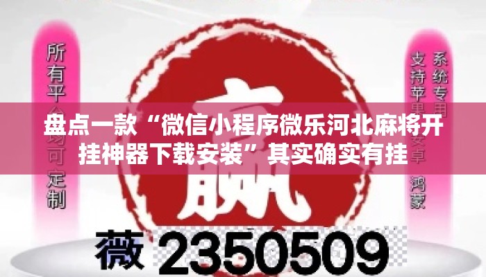 盘点一款“微信小程序微乐河北麻将开挂神器下载安装	”其实确实有挂