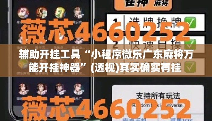 辅助开挂工具“小程序微乐广东麻将万能开挂神器”(透视)其实确实有挂 