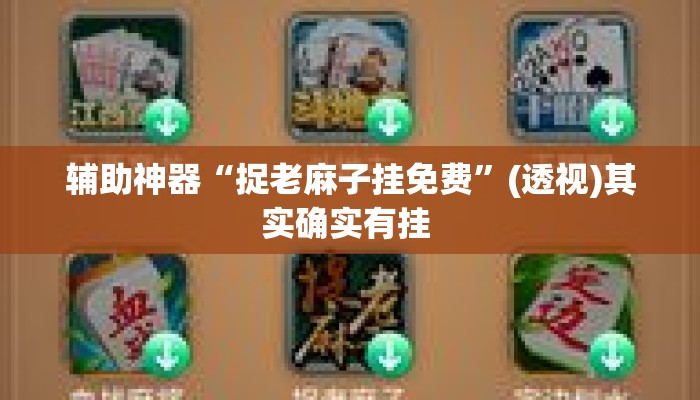 辅助神器“捉老麻子挂免费”(透视)其实确实有挂 
