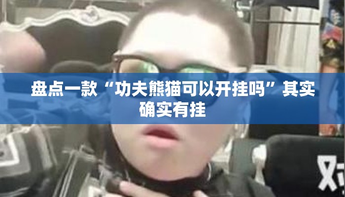 盘点一款“功夫熊猫可以开挂吗”其实确实有挂