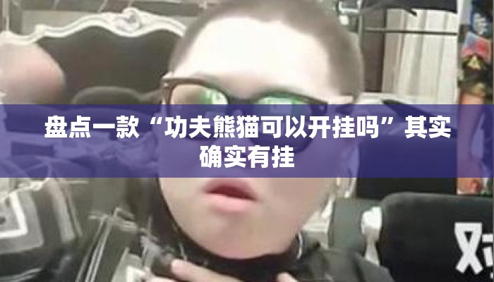 盘点一款“功夫熊猫可以开挂吗”其实确实有挂