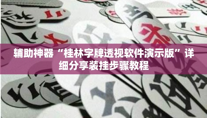 辅助神器“桂林字牌透视软件演示版	”详细分享装挂步骤教程