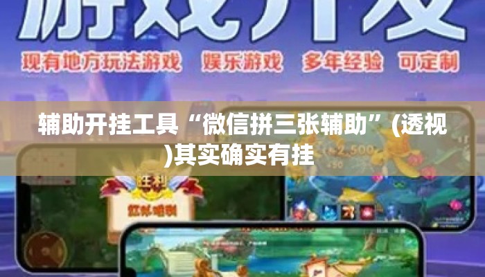 辅助开挂工具“微信拼三张辅助”(透视)其实确实有挂 