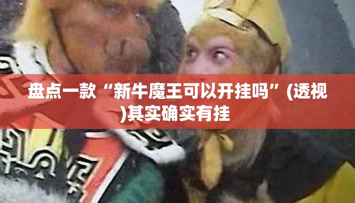 盘点一款“新牛魔王可以开挂吗”(透视)其实确实有挂 