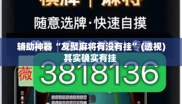辅助神器“友聚麻将有没有挂”(透视)其实确实有挂 