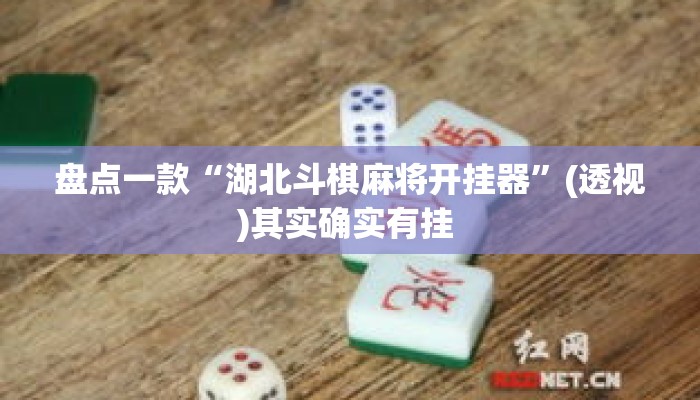 盘点一款“湖北斗棋麻将开挂器”(透视)其实确实有挂 