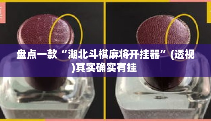 盘点一款“湖北斗棋麻将开挂器	”(透视)其实确实有挂 