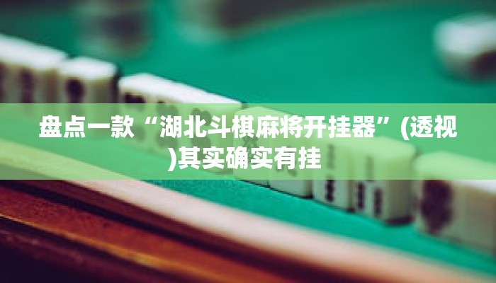 盘点一款“湖北斗棋麻将开挂器”(透视)其实确实有挂 