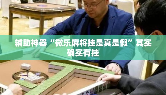 辅助神器“微乐麻将挂是真是假”其实确实有挂