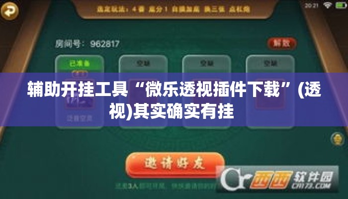 辅助开挂工具“微乐透视插件下载”(透视)其实确实有挂 