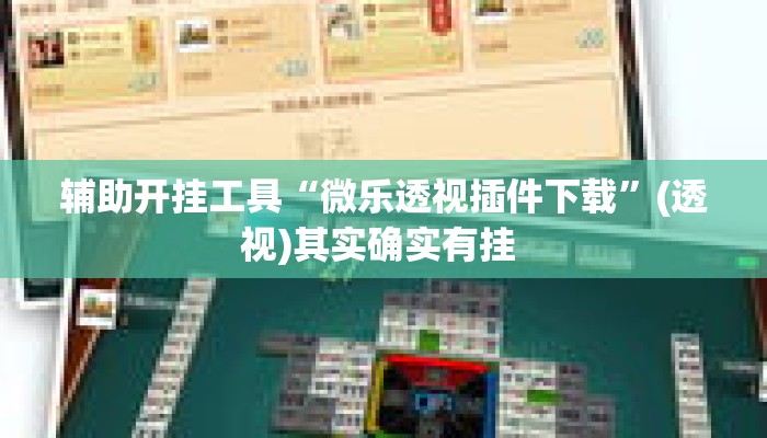 辅助开挂工具“微乐透视插件下载	”(透视)其实确实有挂 