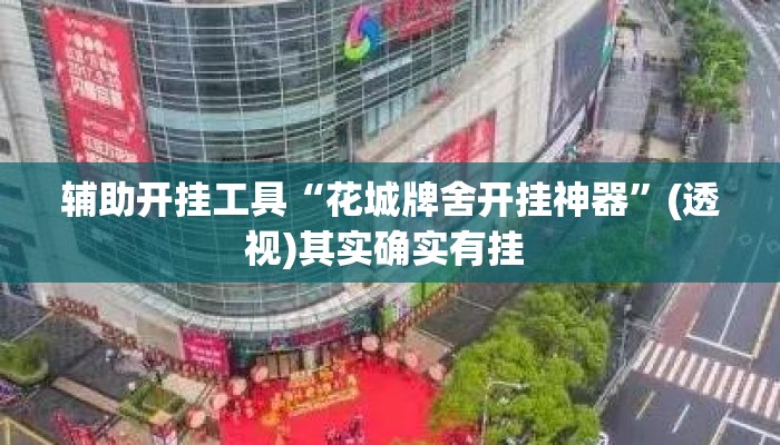 辅助开挂工具“花城牌舍开挂神器”(透视)其实确实有挂 