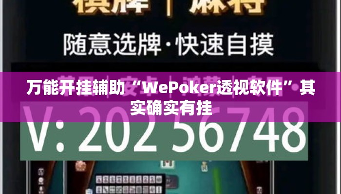 万能开挂辅助“WePoker透视软件”其实确实有挂