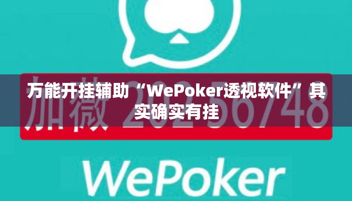 万能开挂辅助“WePoker透视软件	”其实确实有挂