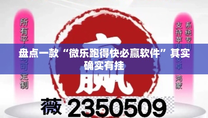 盘点一款“微乐跑得快必赢软件”其实确实有挂