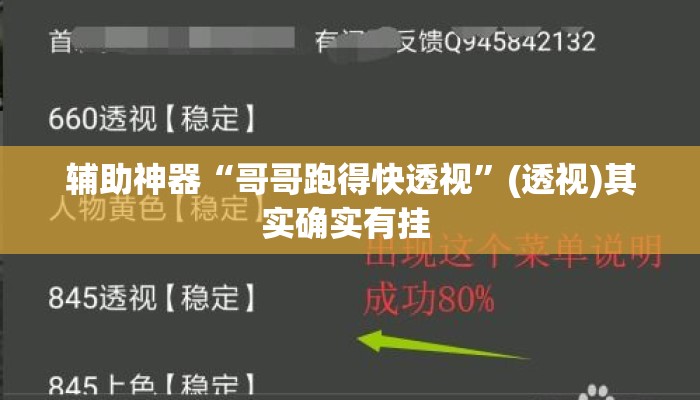 辅助神器“哥哥跑得快透视	”(透视)其实确实有挂 
