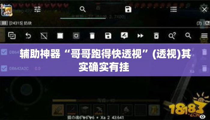 辅助神器“哥哥跑得快透视”(透视)其实确实有挂 