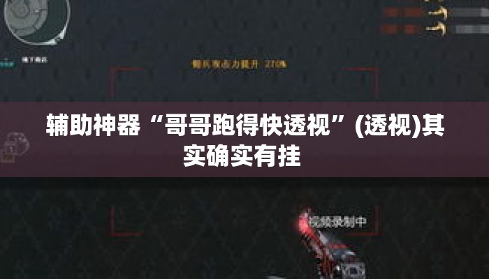 辅助神器“哥哥跑得快透视”(透视)其实确实有挂 