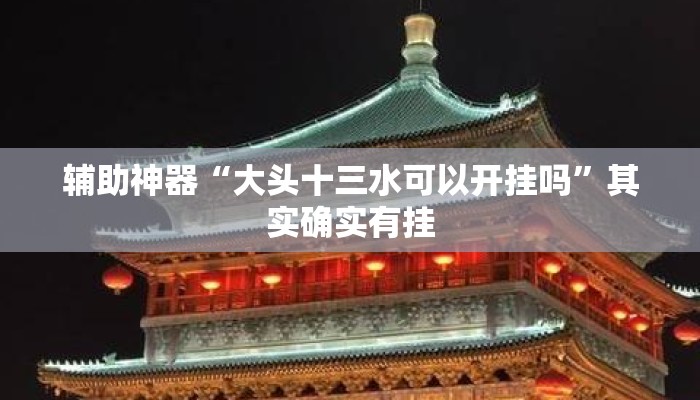 辅助神器“大头十三水可以开挂吗”其实确实有挂