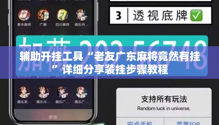 辅助开挂工具“老友广东麻将竟然有挂”详细分享装挂步骤教程
