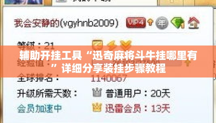 辅助开挂工具“迅奇麻将斗牛挂哪里有	”详细分享装挂步骤教程