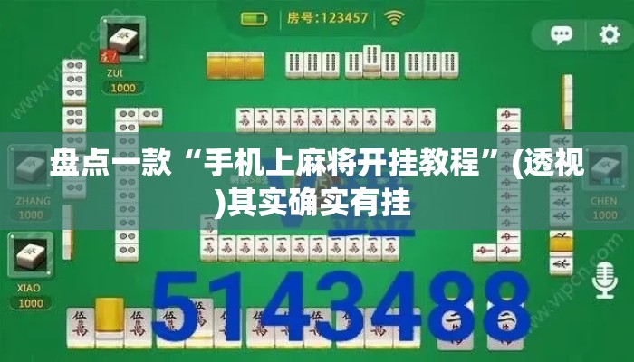 盘点一款“手机上麻将开挂教程”(透视)其实确实有挂 