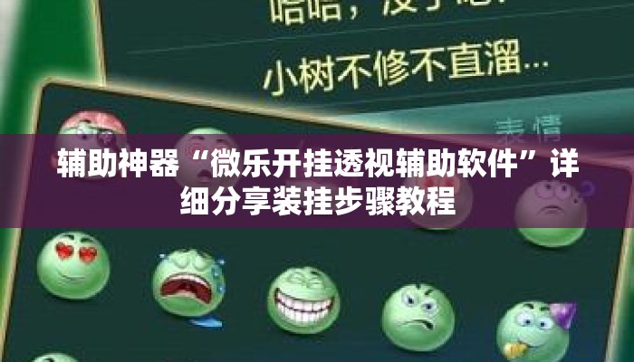 辅助神器“微乐开挂透视辅助软件”详细分享装挂步骤教程