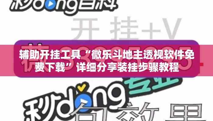 辅助开挂工具“微乐斗地主透视软件免费下载”详细分享装挂步骤教程