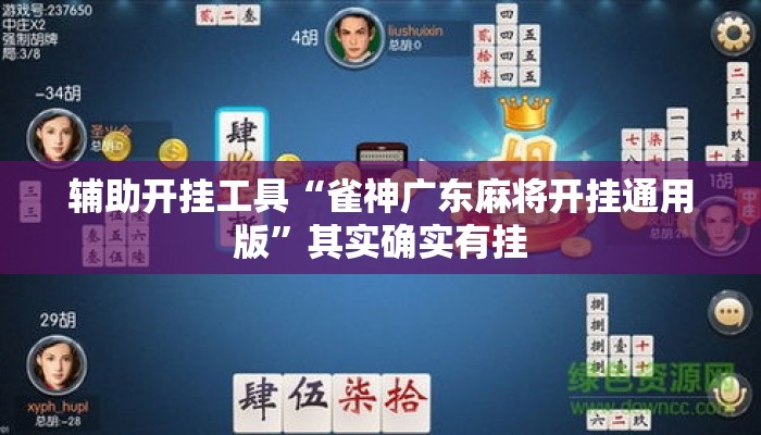 辅助开挂工具“雀神广东麻将开挂通用版	”其实确实有挂