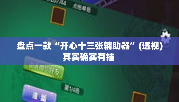 盘点一款“开心十三张辅助器”(透视)其实确实有挂 