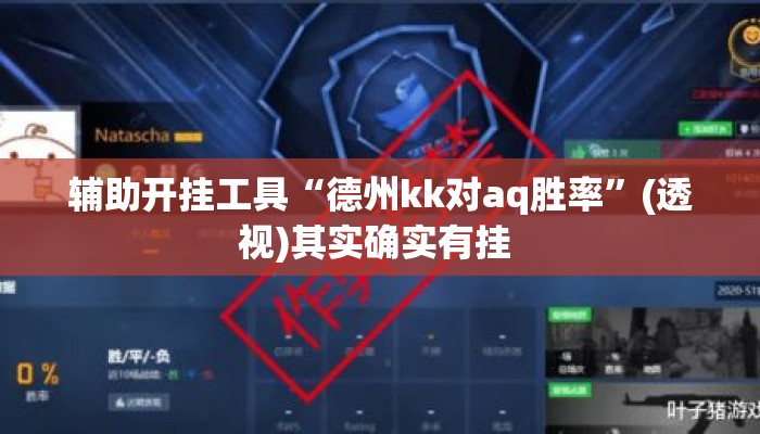 辅助开挂工具“德州kk对aq胜率”(透视)其实确实有挂 