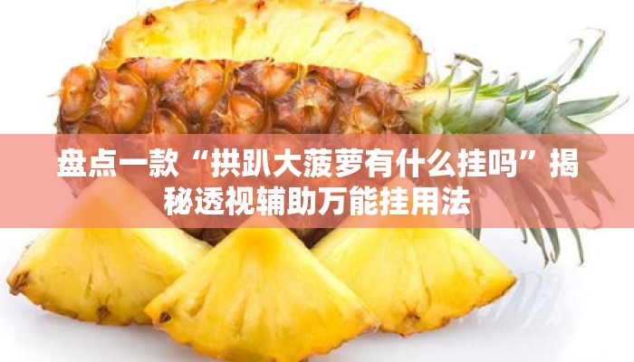 盘点一款“拱趴大菠萝有什么挂吗”揭秘透视辅助万能挂用法