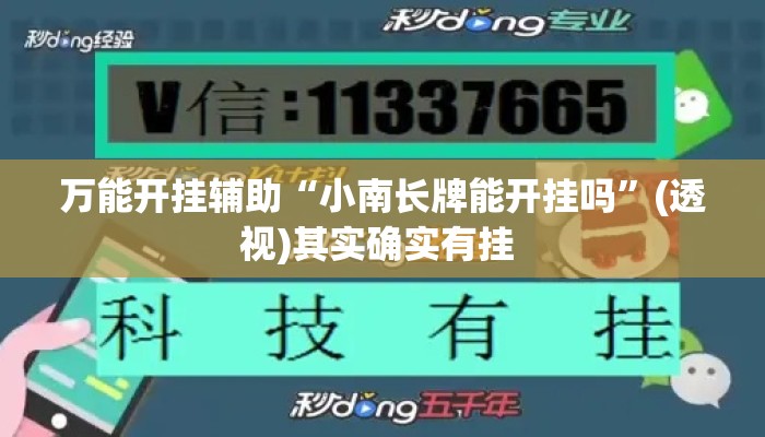万能开挂辅助“小南长牌能开挂吗”(透视)其实确实有挂 