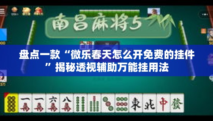 盘点一款“微乐春天怎么开免费的挂件”揭秘透视辅助万能挂用法