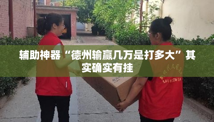 辅助神器“德州输赢几万是打多大”其实确实有挂