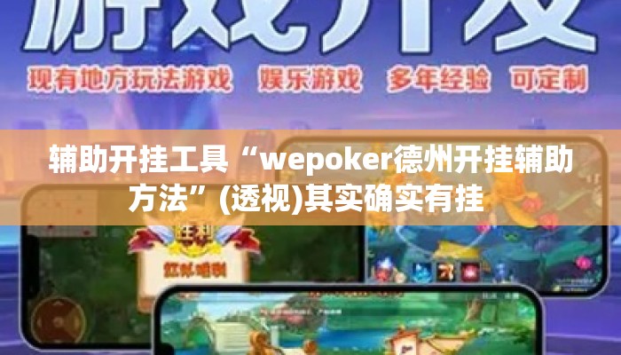 辅助开挂工具“wepoker德州开挂辅助方法	”(透视)其实确实有挂 