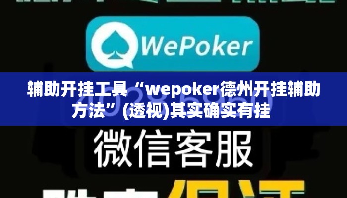 辅助开挂工具“wepoker德州开挂辅助方法”(透视)其实确实有挂 