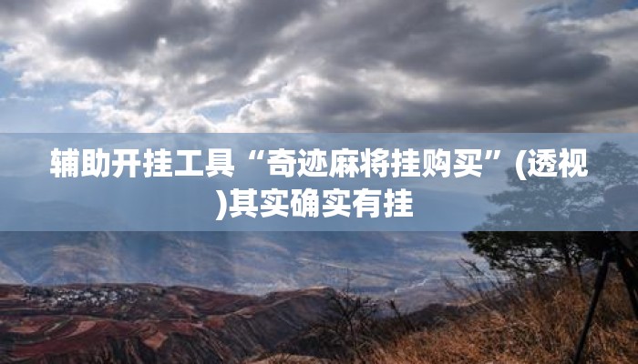辅助开挂工具“奇迹麻将挂购买”(透视)其实确实有挂 